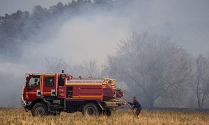 Potężny pożar we Francji. Spłonęło między 800 a 900 hektarów winnic