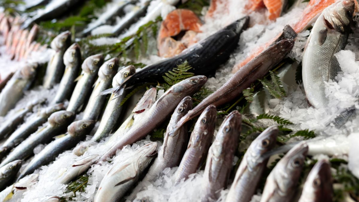 Które ryby są najzdrowsze? Te gatunki zasługują na wyróżnienie