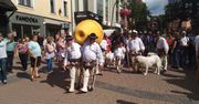 Festiwal oscypka w Zakopanem