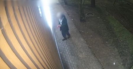 Przyłapany przy ścianie. Kuriozalne tłumaczenia. Pokazali nagranie