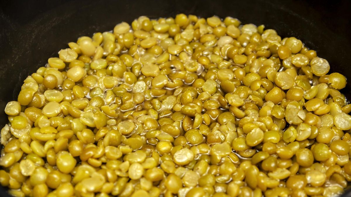 Groch to niedoceniany składnik o dużym potencjale odżywczym