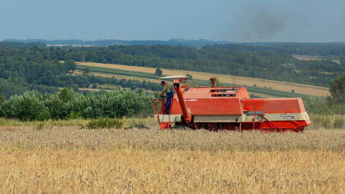 Niecały milion ton zbóż wwieziono do Polski z Ukrainy 