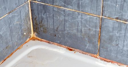 Spryskaj tym fugi. Momentalnie zabije pleśń
