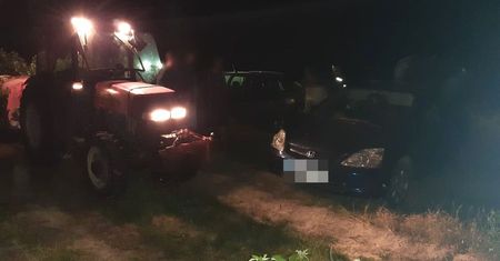 Został złapany na nocnej kradzieży malin. Mężczyzna wysypał zebrane owoce i zaczął je deptać