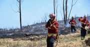 Portugalia walczy z pożarami. Ujęto 27 podpalaczy, wśród nich jest strażak