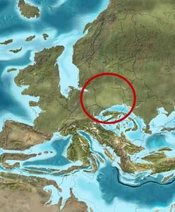 Polska z palmami i ciepłym morzem. Naukowcy odtworzyli mapę Europy sprzed 20 mln lat