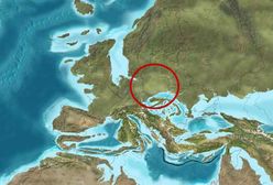 Polska z palmami i ciepłym morzem. Naukowcy odtworzyli mapę Europy sprzed 20 mln lat