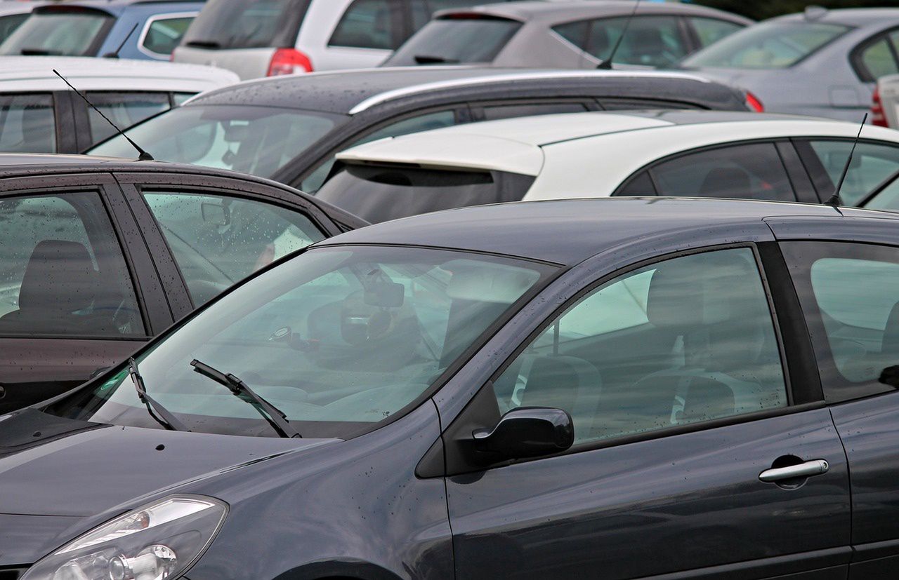 Tarnów: Pies skonał w męczarniach w rozgrzanym samochodzie na parkingu Zakładów Mechanicznych? Mamy odpowiedź firmy zbrojeniowej