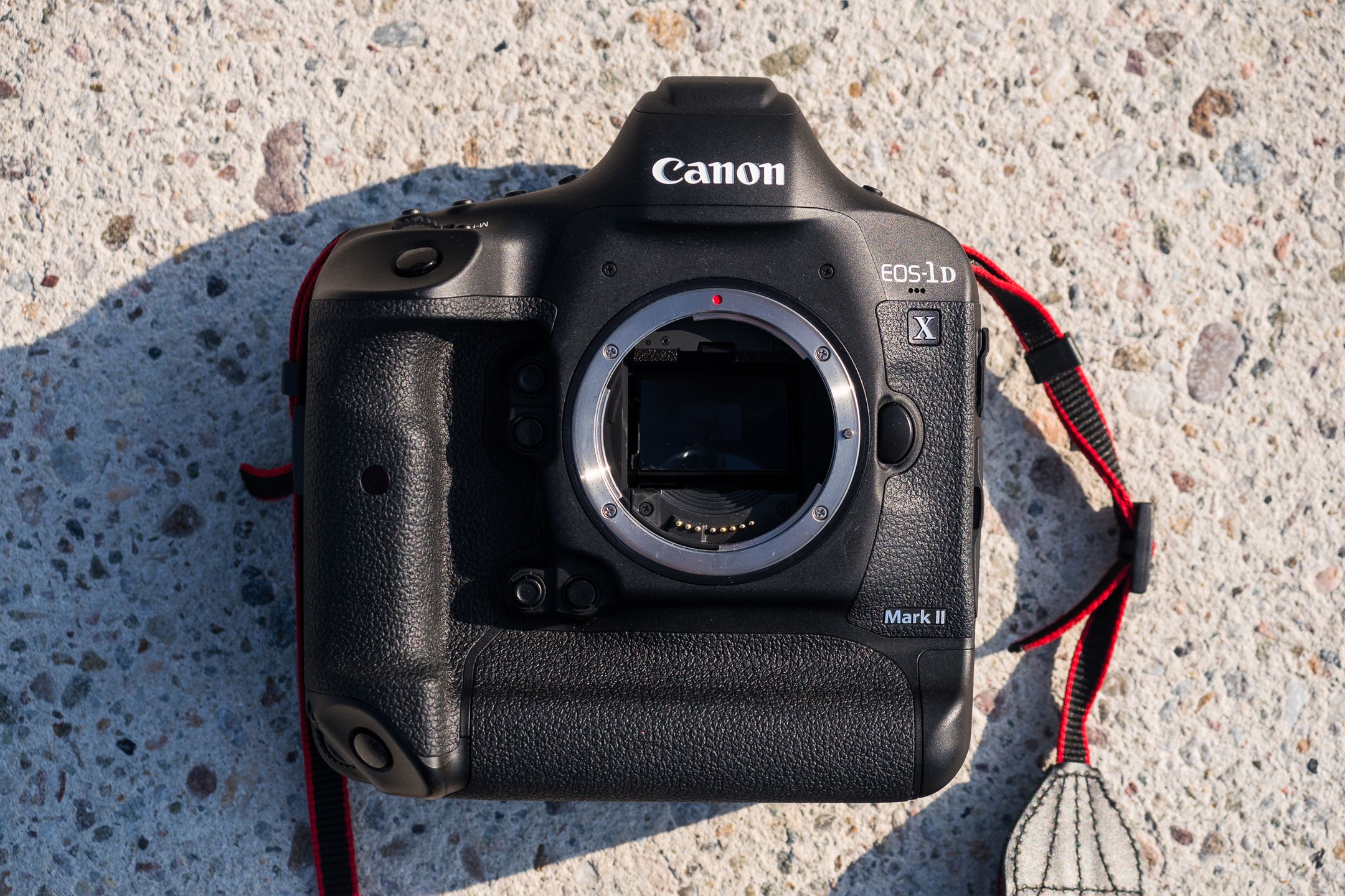 Canon EOS-1D X Mark II - test najszybszej lustrzanki na świecie 11