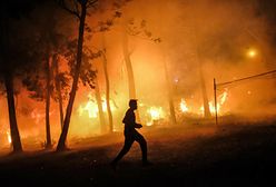 Pożary na Syberii przeszkodzą w ataku na Ukrainę? "Dla Putina najważniejsza jest wojna, a nie lasy"