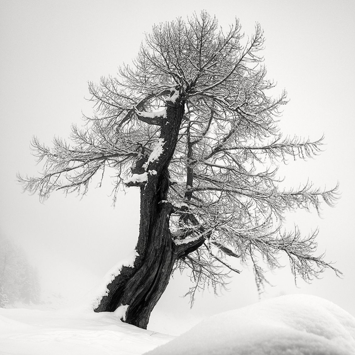Wielu Polaków na podium w konkursie Monochrome Photography Awards 2017 43