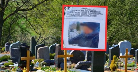Kontrowersyjna kartka na cmentarzu. Pokazano twarz i padły oskarżenia