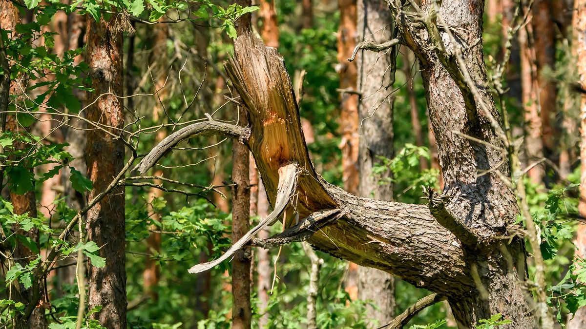 Zdjęcie ilustracyjne. 