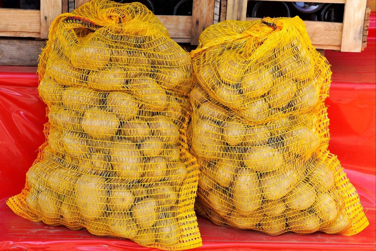 Niemcy wysłali ziemniaki do Polski. Zarobili ponad 130 mln zł