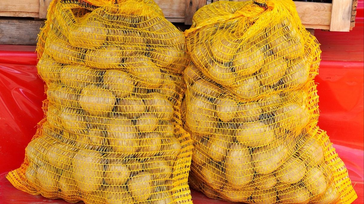 Skąd Polska ściąga ziemniaki? Niemcy zarabiają na tym miliony