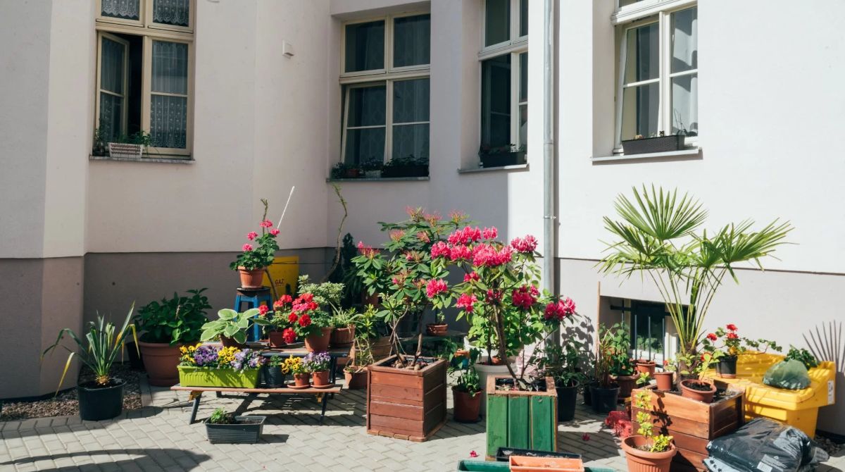 Poznań znów zmienia się na zielono.