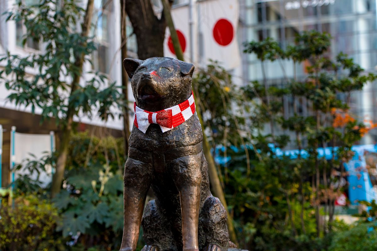 Historia psa Hachiko