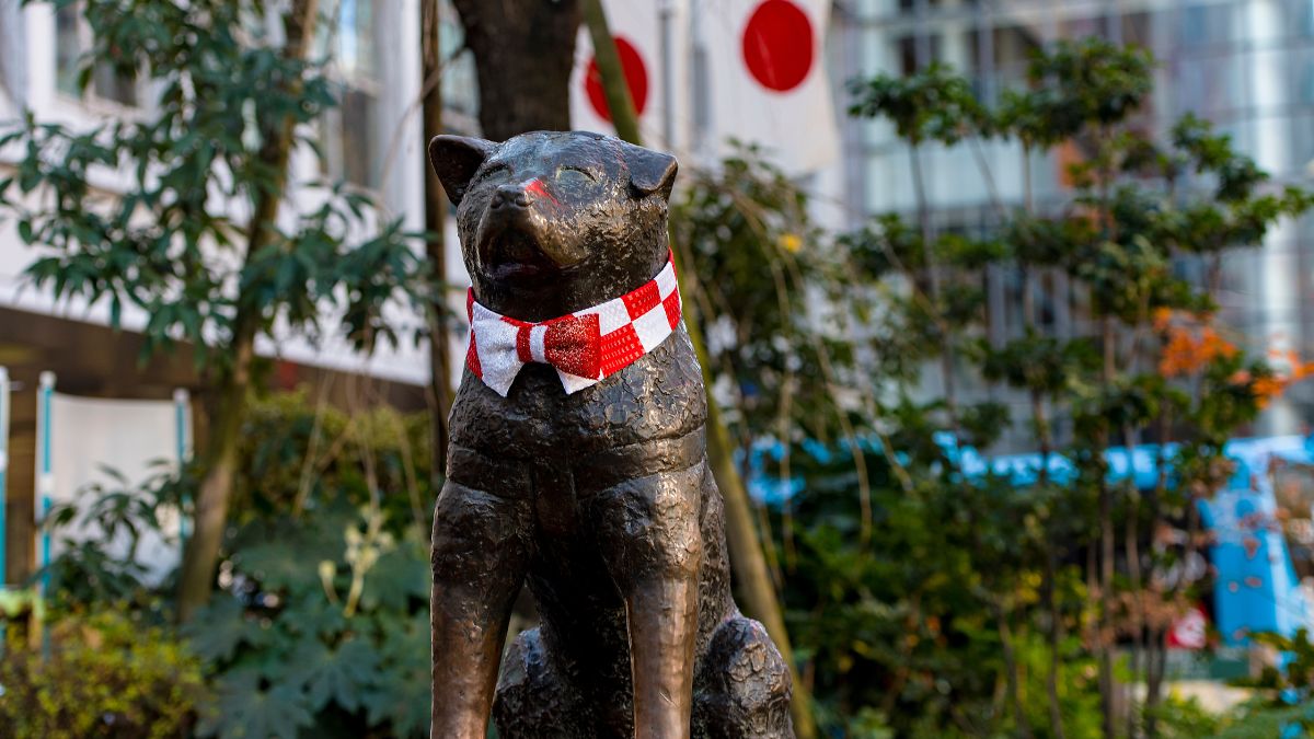 Historia psa Hachiko. 