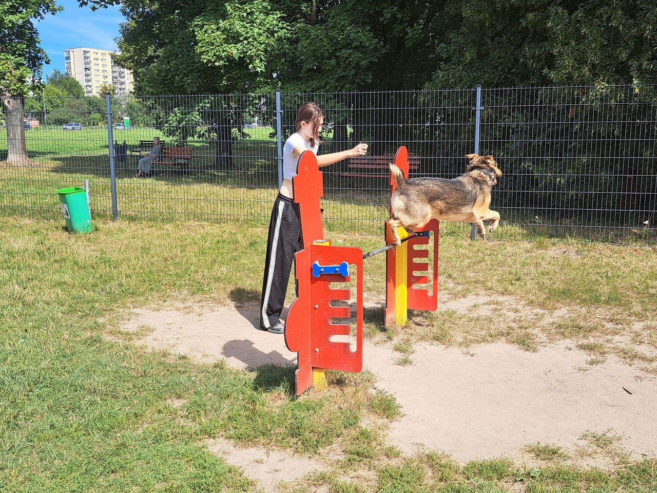 Łódź: Psie parki. Będzie więcej nowych miejsc dla czworonogów