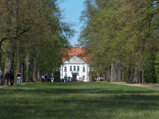 Obraz