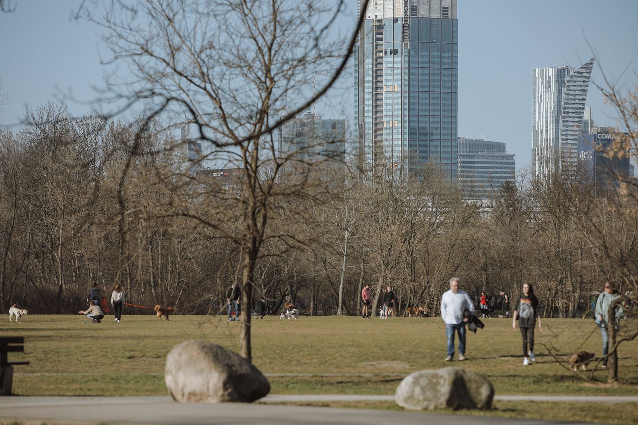 Warszawa. W środę będzie ciepło i słonecznie