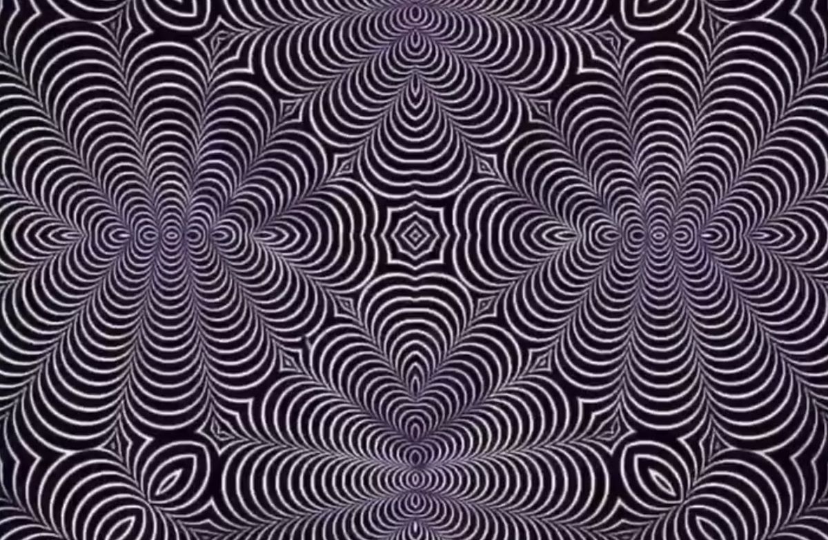 What do you see in the picture?