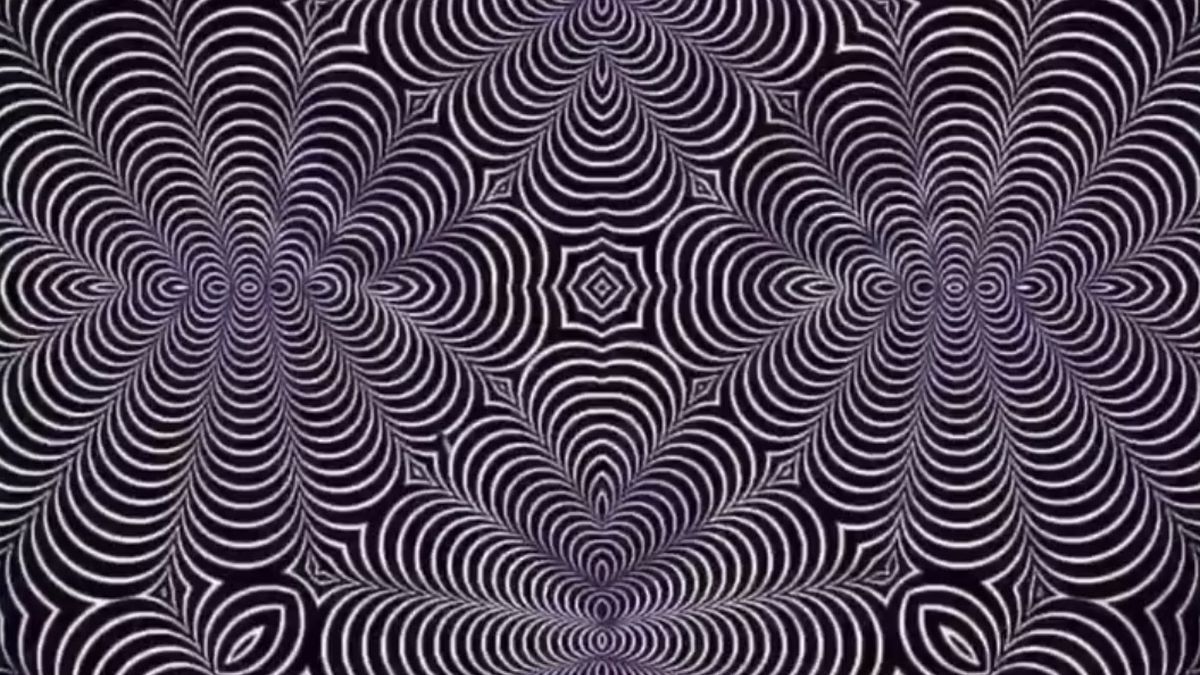 Co widzisz na obrazku? 