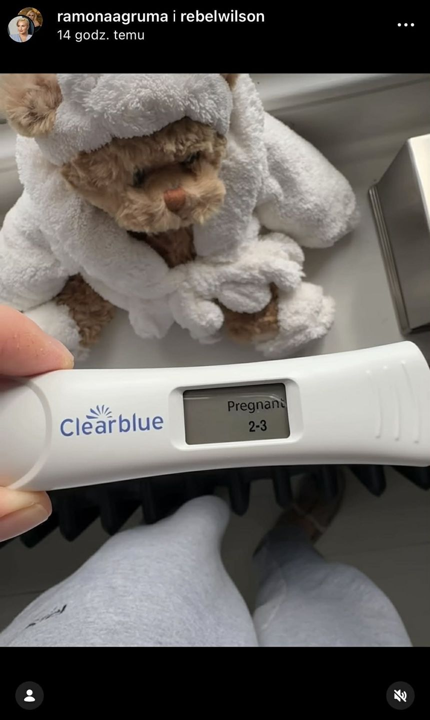 Rebel Wilson i Ramona Agruma spodziewają się dziecka