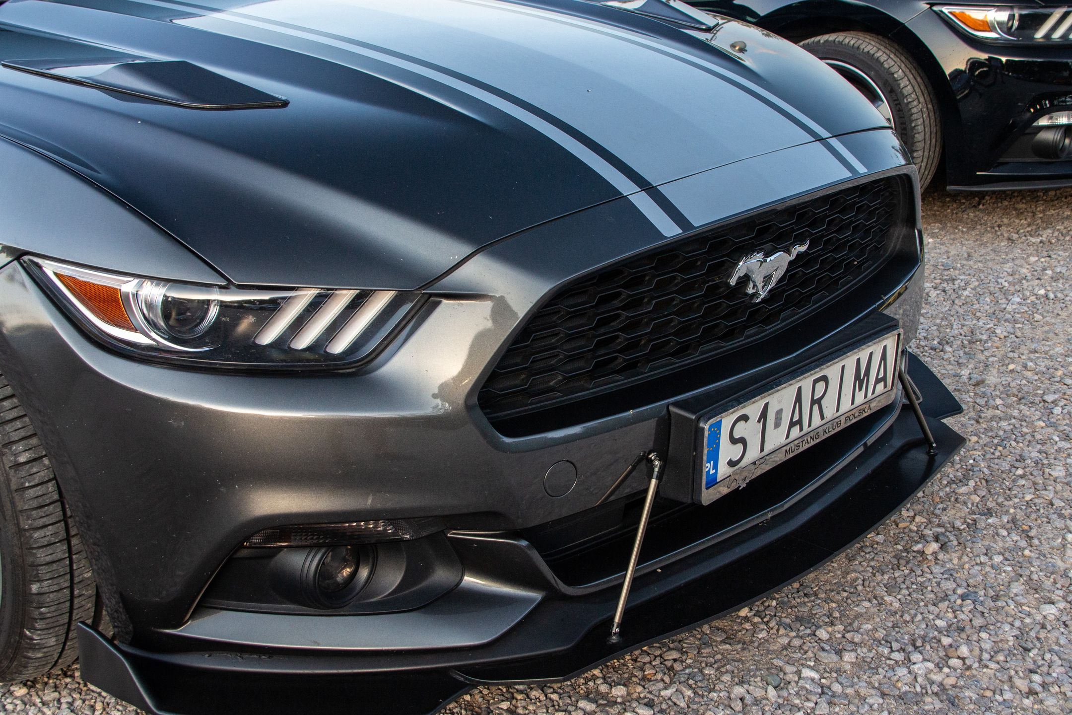 Małopolski & Śląski Zlot Mustangów 2024
