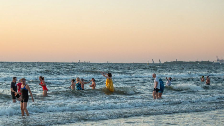 W Bałtyku pojawiły się przecinkowce