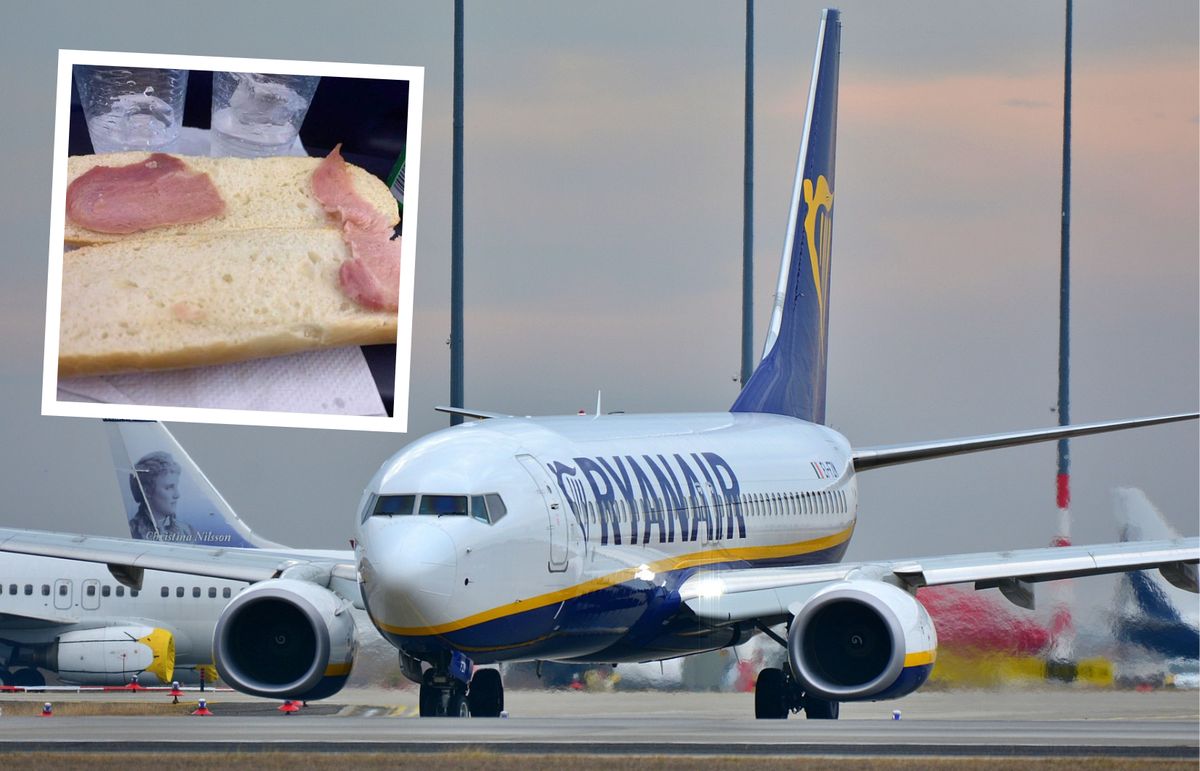 "Najsmutniejsza kanapka na świecie” została zaserwowana w samolocie