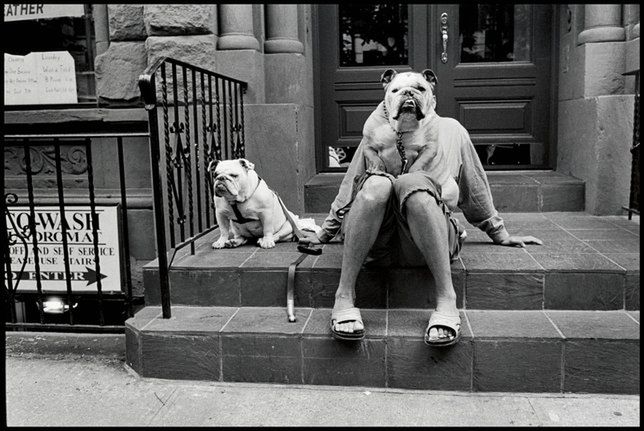 Leica Gallery - miejsce otwarte na współczesną fotografię 3