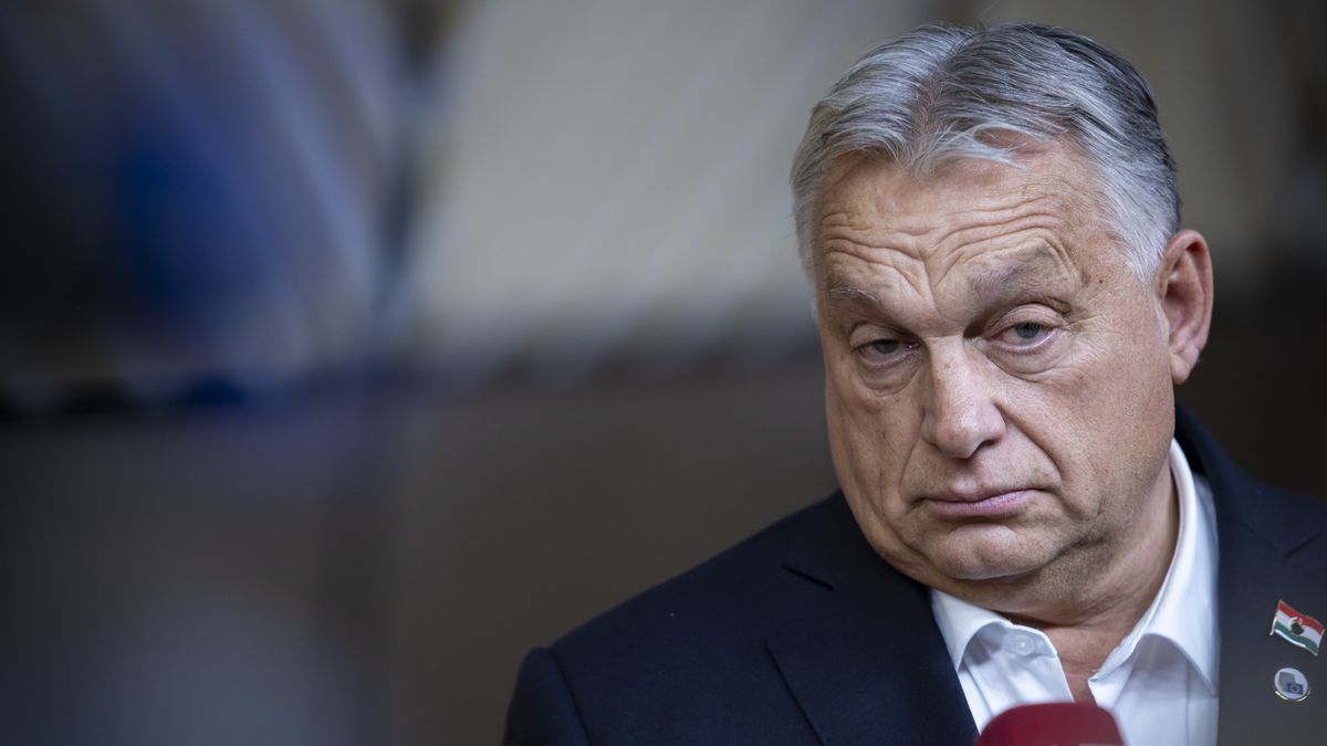 European Council Summit In Brussels
Prime Minister of Hungary Victor Orban does a doorstep press briefing after the end of the European Council Summit, the EU leaders meeting at the EU headquarters. The Hungarian PM answers questions from journalists of international media and press. Among the discussed topics of the summit were European defense, support to Ukraine, the Middle East, migration, housing and competitiveness. Brussels, Belgium on October 23, 2025 (Photo by Nicolas Economou/NurPhoto via Getty Images)
NurPhoto
flags, talks, belgian, media, speaks, expression, viktor mihály orbán, closeup, face, eu flags