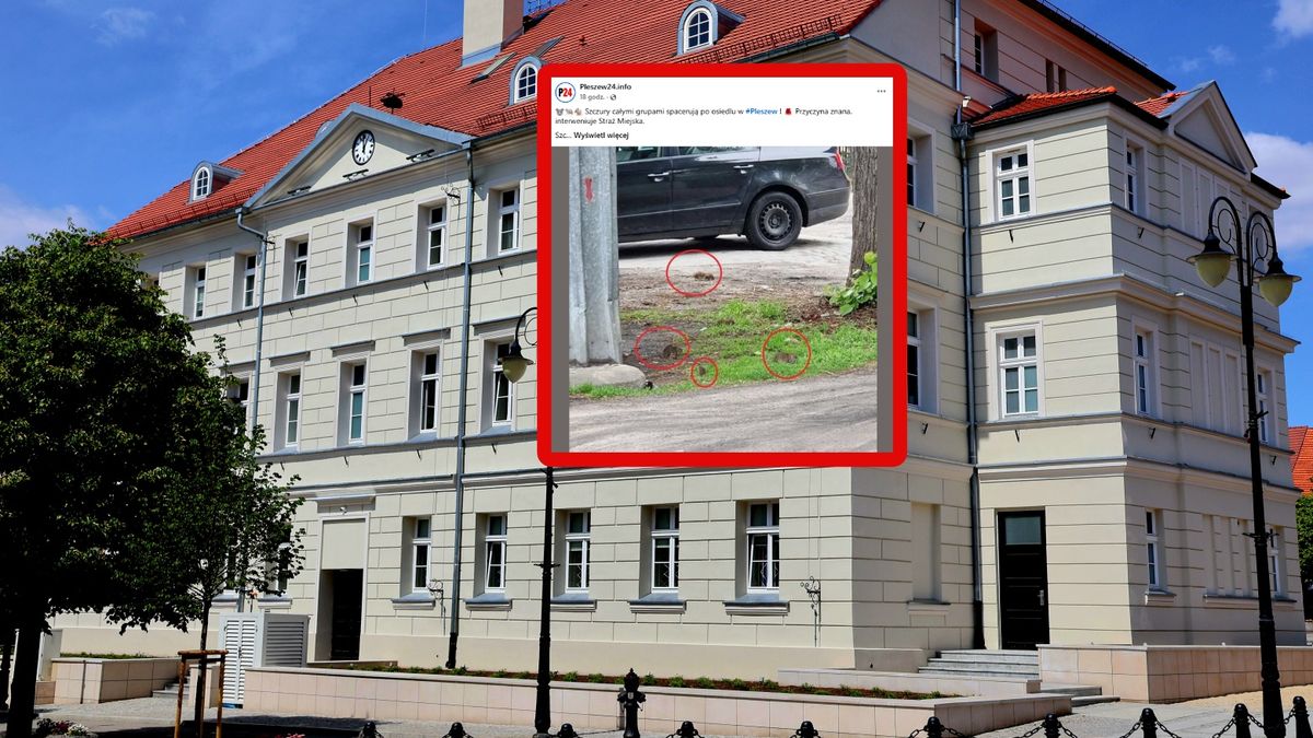 Mieszkańcy Pleszewa alarmują.