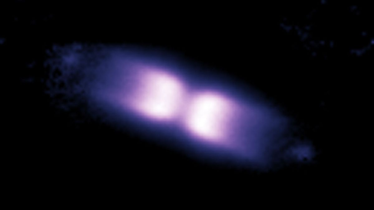 V445 Puppis