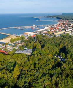 Zbliża się masowa wycinka. Coraz bliżej kontrowersyjnej inwestycji