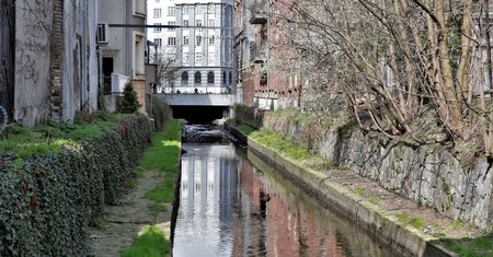 Katowice. Czystsza Rawa. Z jej koryta wyciągnięto... lodówkę