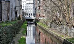 Katowice. Czystsza Rawa. Z jej koryta wyciągnięto... lodówkę