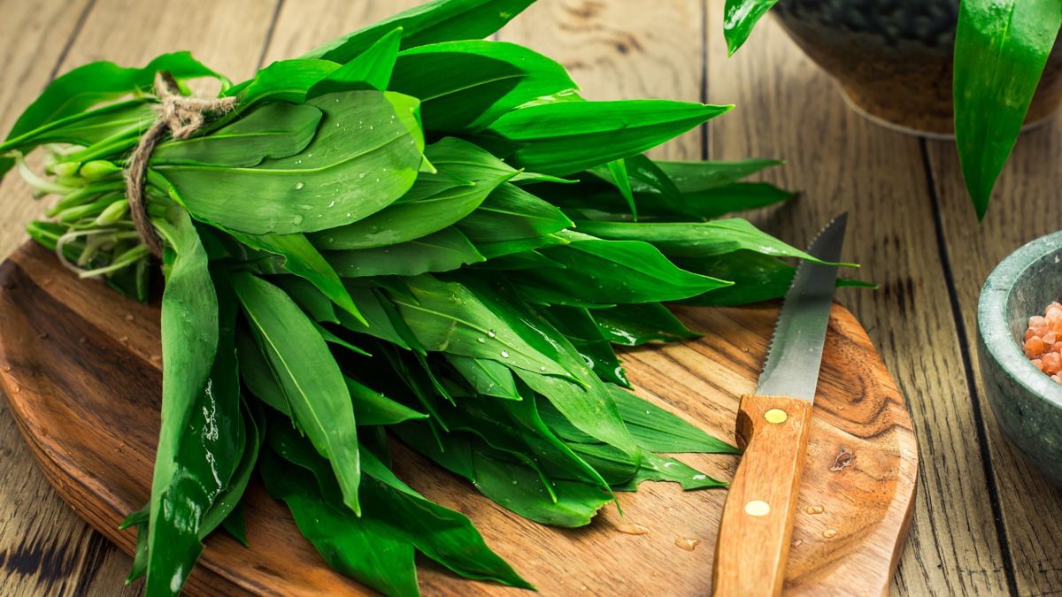 Dlaczego czosnek niedźwiedzi jest tak cenny?