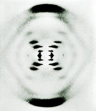 DNA zobrazowane metodą krystalografii rentgenowskiej