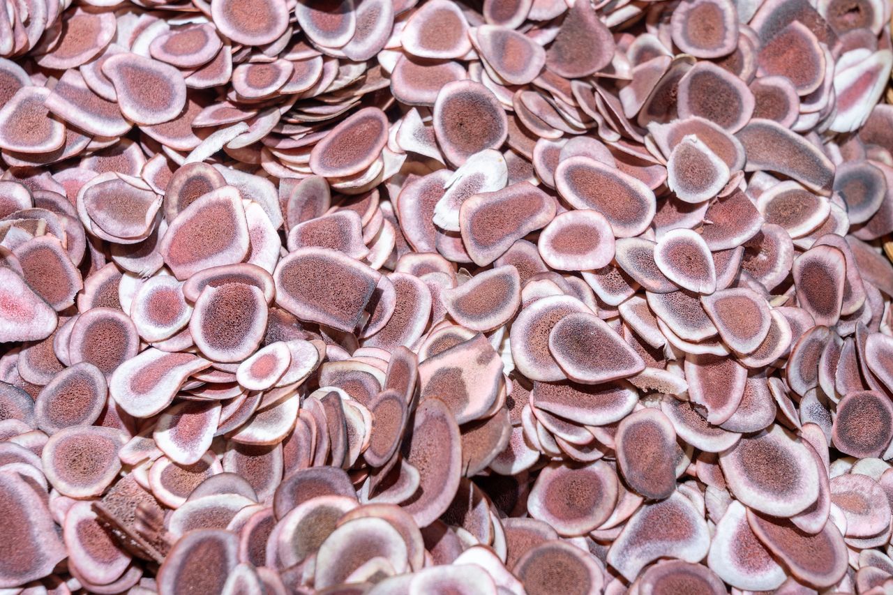 Badania trwały 17 lat. 57 proc. więcej zgonów z powodu raka