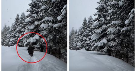 Bieszczady po pas w śniegu. Ten film mówi wszystko