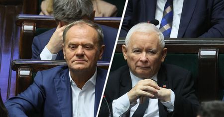 KO na czele sondażu. Pięć partii w Sejmie