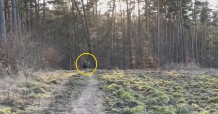 Niesamowite, co wyszło z lasu pod Szczecinem. Nie daje się złapać