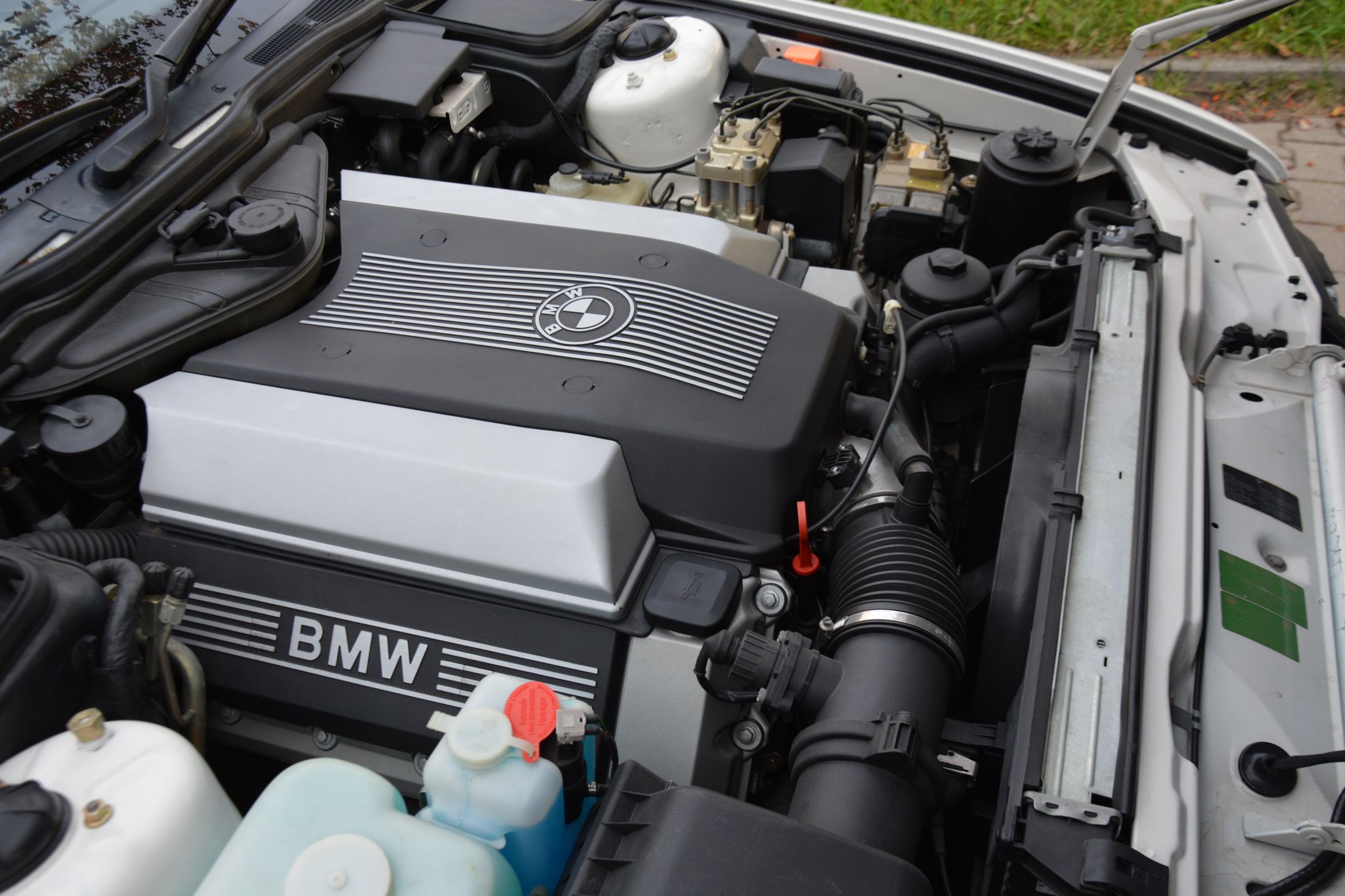 Zdjęcie ilustracyjne do artykułu