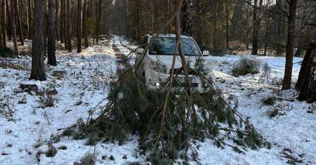 Leśnicy są wstrząśnięci. Od razu zaapelowali. "Nie zbliżać się"
