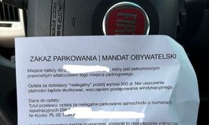 Kurier zaparkował na osiedlu. Pokazał "mandat obywatelski"