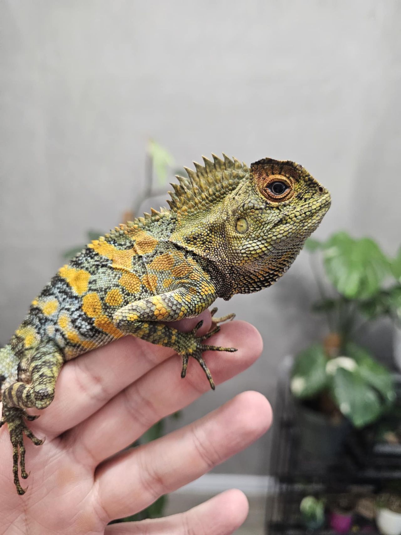 Targi terrorystyczne 