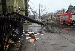 Pogoda. Nadciąga orkan Eunice! Będą zniszczenia i braki prądu