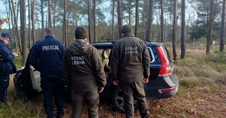 "Niespodzianka przed Świętami". Znaleziono ją w lesie